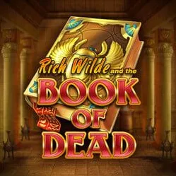 Book of Dead slot